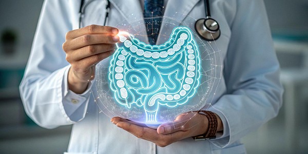 A relação entre intestino, imunidade e saúde mental