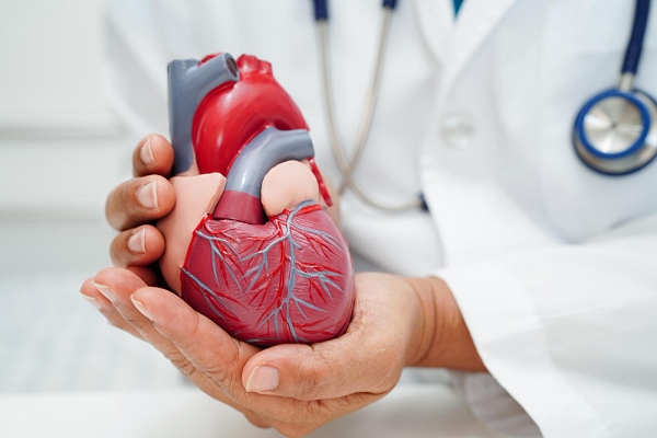 Dicas de alimentação para portadores de doenças cardiovasculares